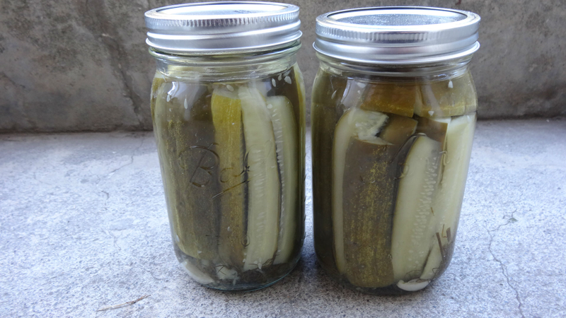 Illustration for article titled Ball FreshTech Auto Canner Review: Pack a Peck of Perfect Pickles